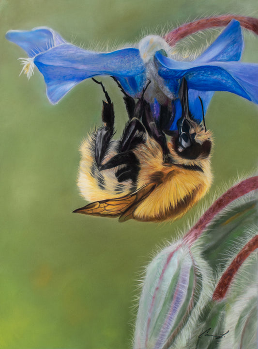 Borache and the Bee pastel painting reproduction