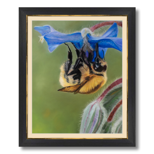 Borache and the Bee pastel painting reproduction, matted and framed