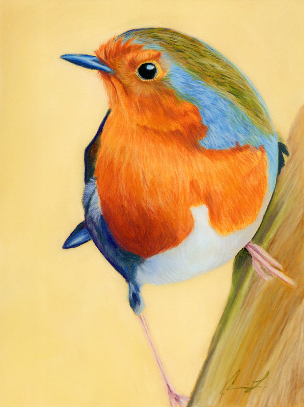 European robin pastel painting - archival print