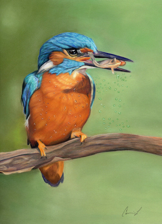 Kingfisher's Catch original pastel painting