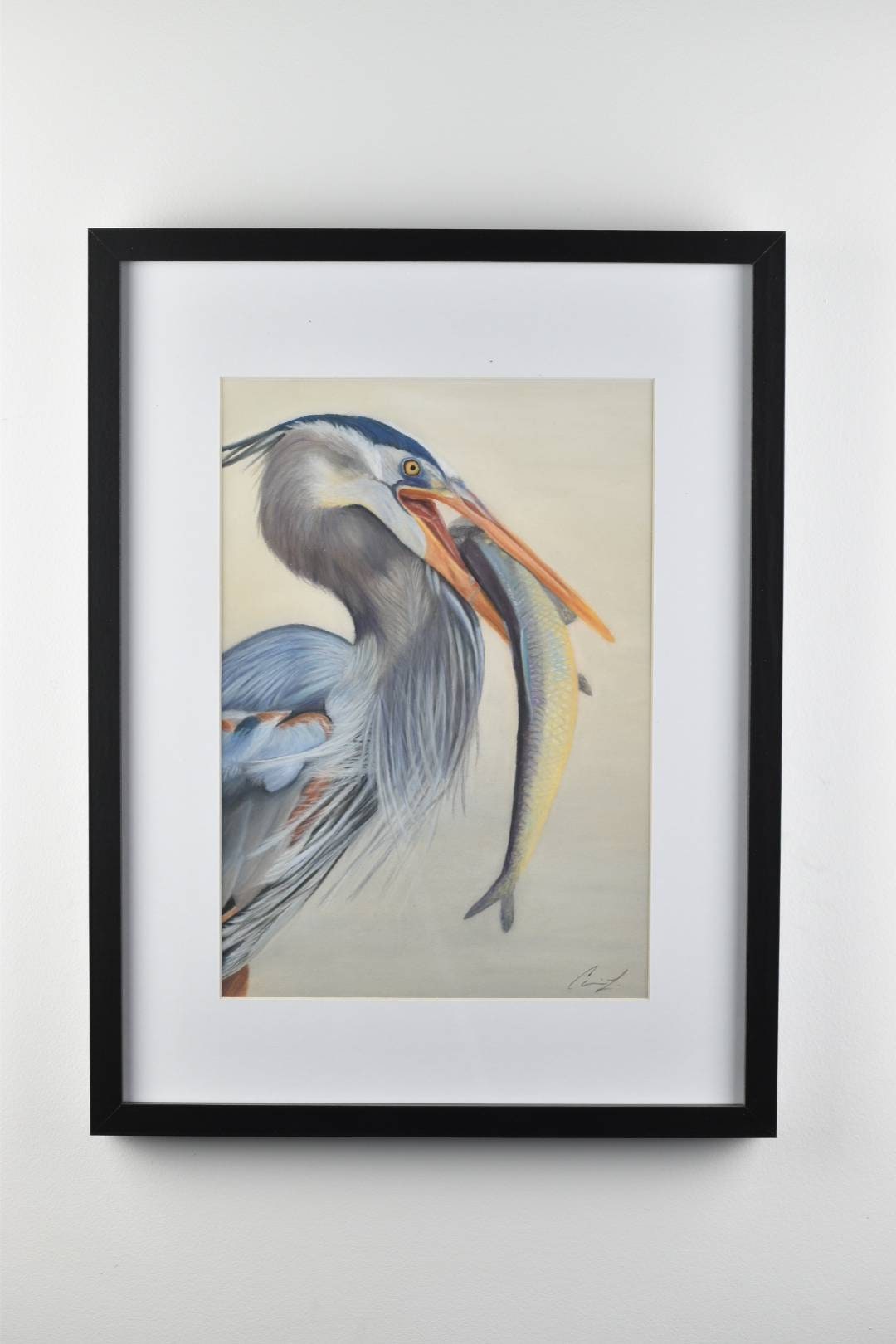 George Catches a Fish original pastel painting of a great blue heron