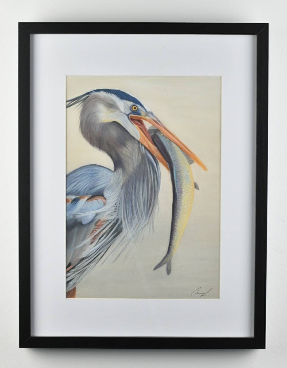 George Catches a Fish original pastel painting of a great blue heron