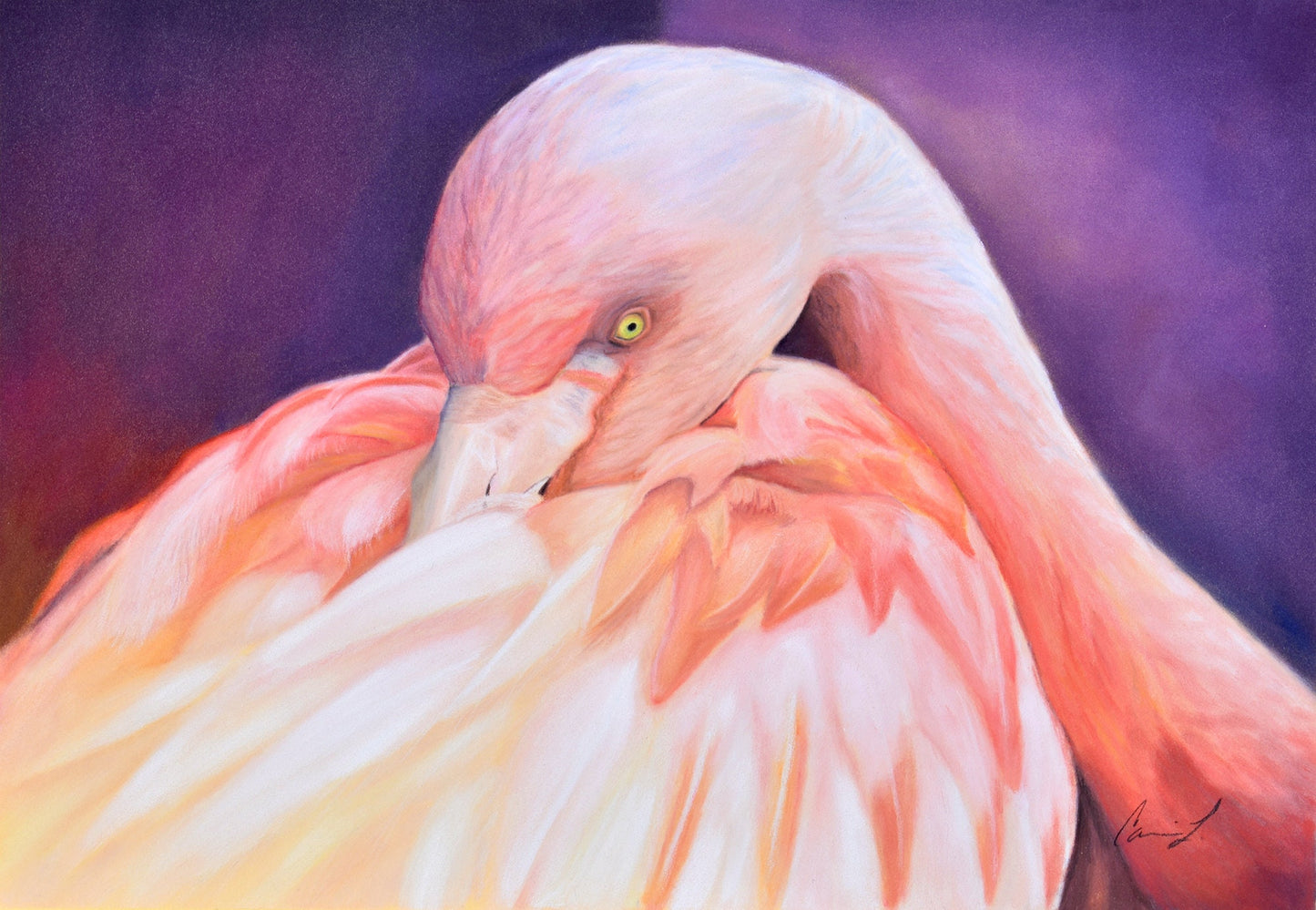 Flamingo original pastel painting