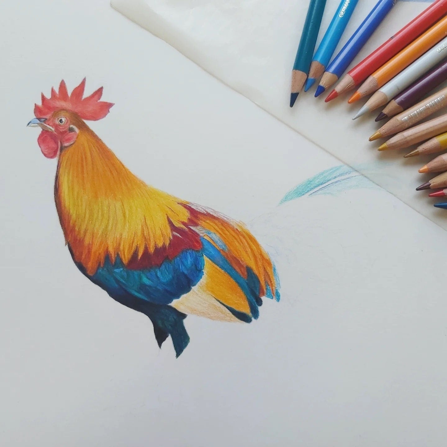 Rooster original colored pencil drawing