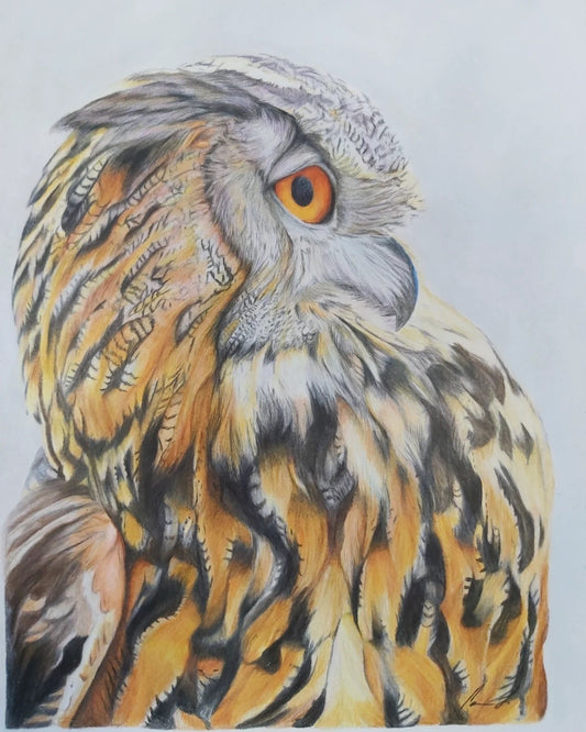 Owl original colored pencil and pastel drawing